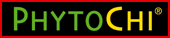 homepage